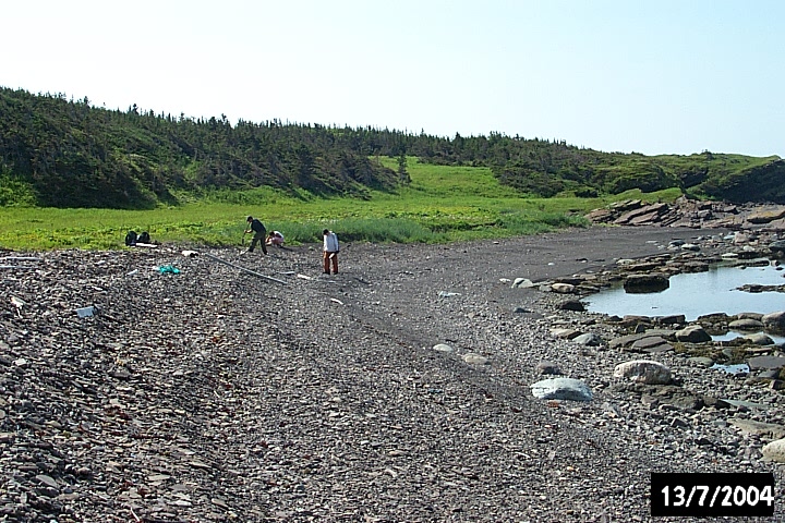 Surveying Green Cove beach and the meadow beyond.